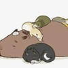 ハイキューnrkr