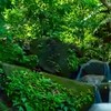 👑股市遊山水
