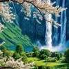 👑股市山水討論群