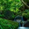 👑股市遊山水