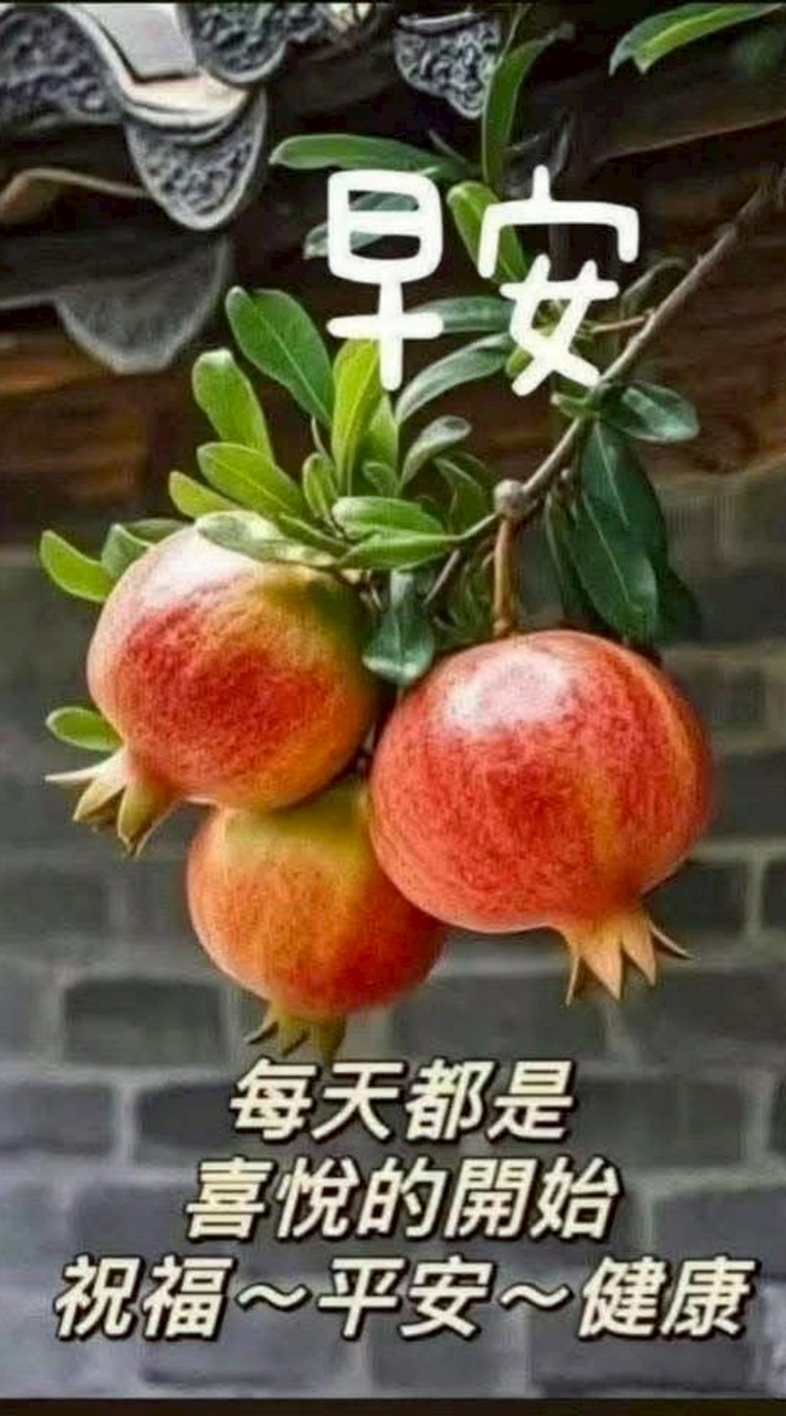 好心情。風景。流水。美食笑話。各宗教。廟宇建築慶典。各品種蓮花荷花欣賞小社群
