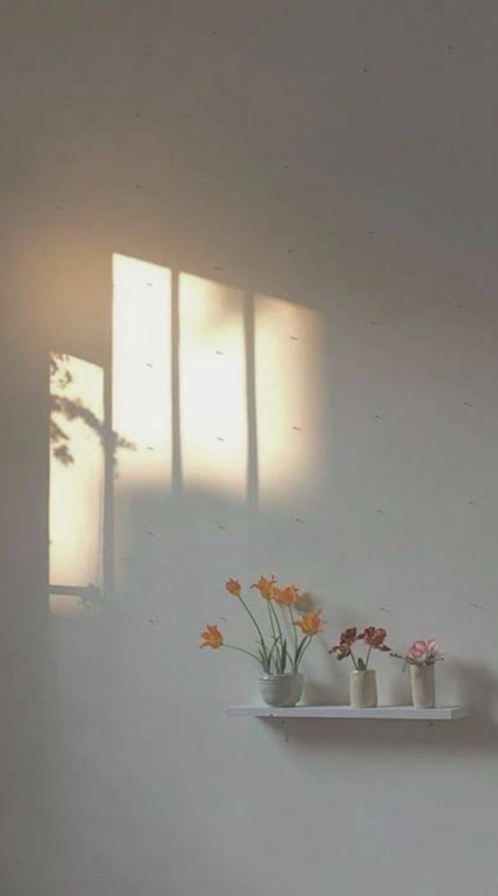 เจ้าบ้าน หมู่บ้านปาล์มสปริงส์ บลิส