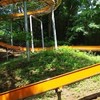 八王子の公園を探したい