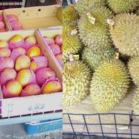 俗俗賣蔬菜水果