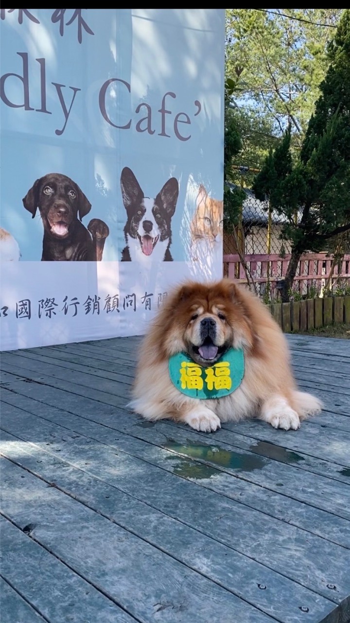阿仁的毛孩爸媽交友群