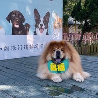 阿仁的毛孩爸媽交友群