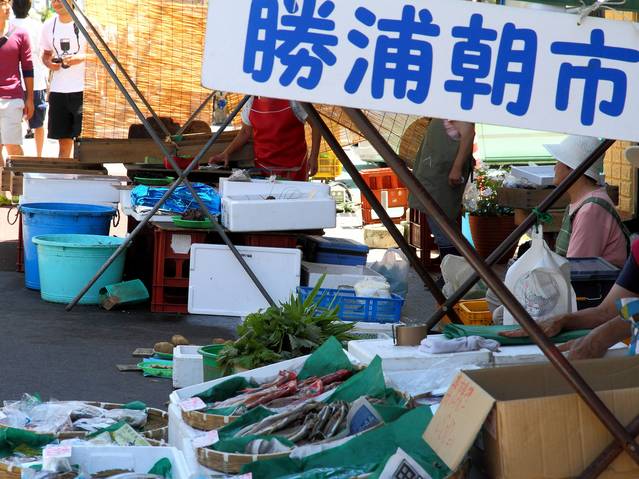 日本全國 早起來品嚐新鮮海味吧 朝氣蓬勃的朝市美食 旅色 Line Today