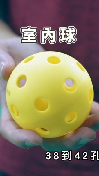 台中豐原匹克球揪團
