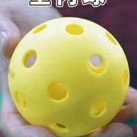 台中豐原匹克球揪團