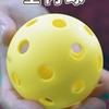台中豐原匹克球揪團