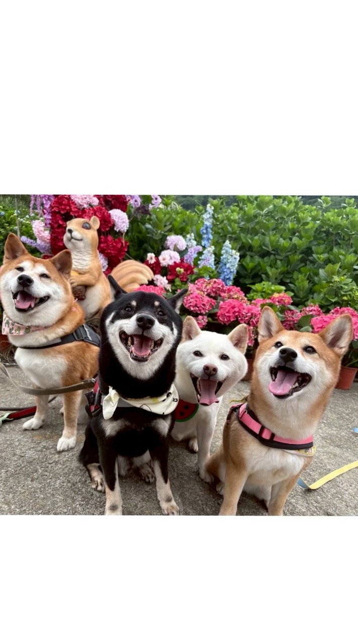 私嚐吃飯-北大店