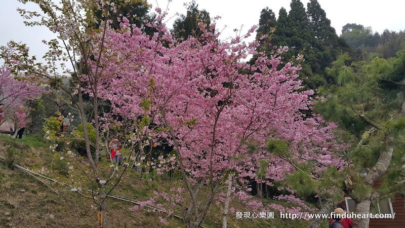20150309_101644