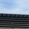 バイナリー配信王　仮