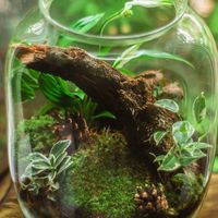 環保署♻甲乙級清/處🏭事業端交流🌍