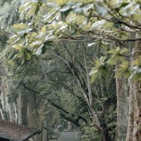 恆山和合住戶群