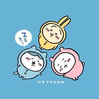 吉伊卡哇代購天地