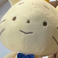 中央大学　経済学部　2023年度入学（4年生）