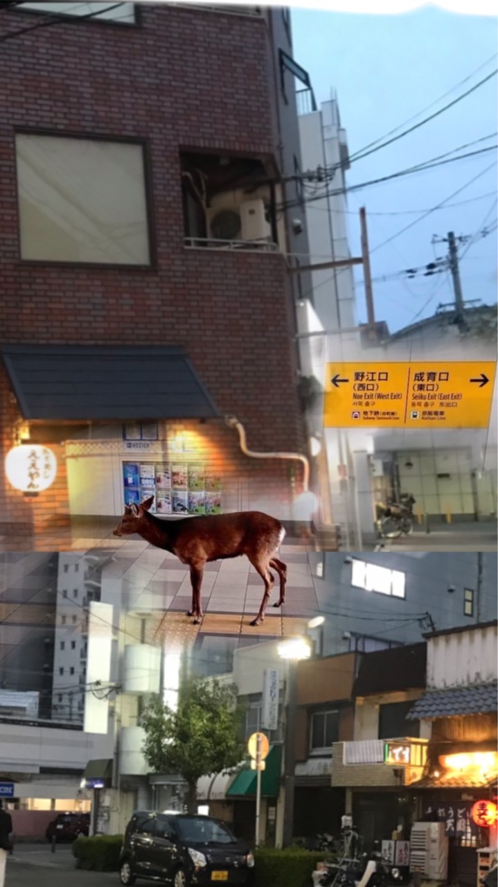 🌸野江🌸大阪府大阪市🌸ヒガシ🌸城東区🌸