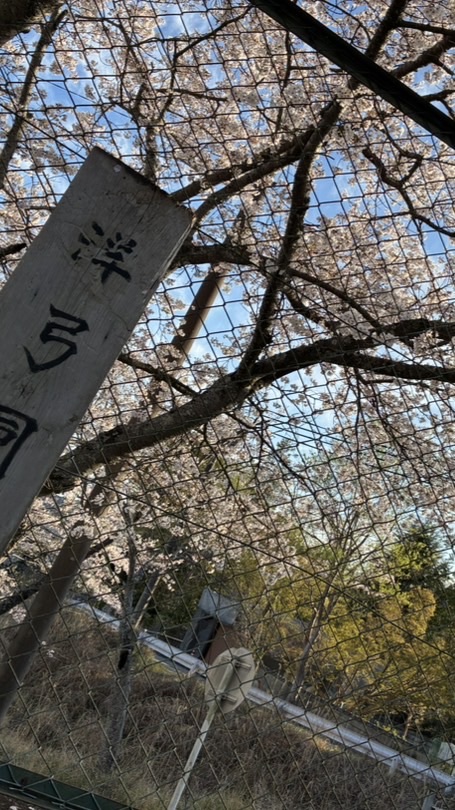 2026 uoh 洋弓部 新歓