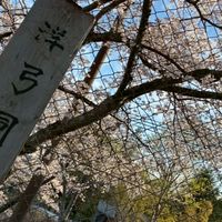 2026 uoh 洋弓部 新歓