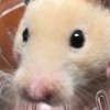 たけのこ塾（ぺぺ丸堂あり）