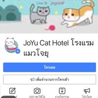 โรงแรมแมวโจยุ JoYu Cat
