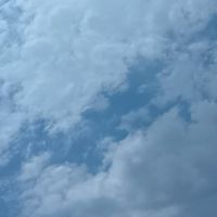 プリ小説同盟（やってる人おいで～、！