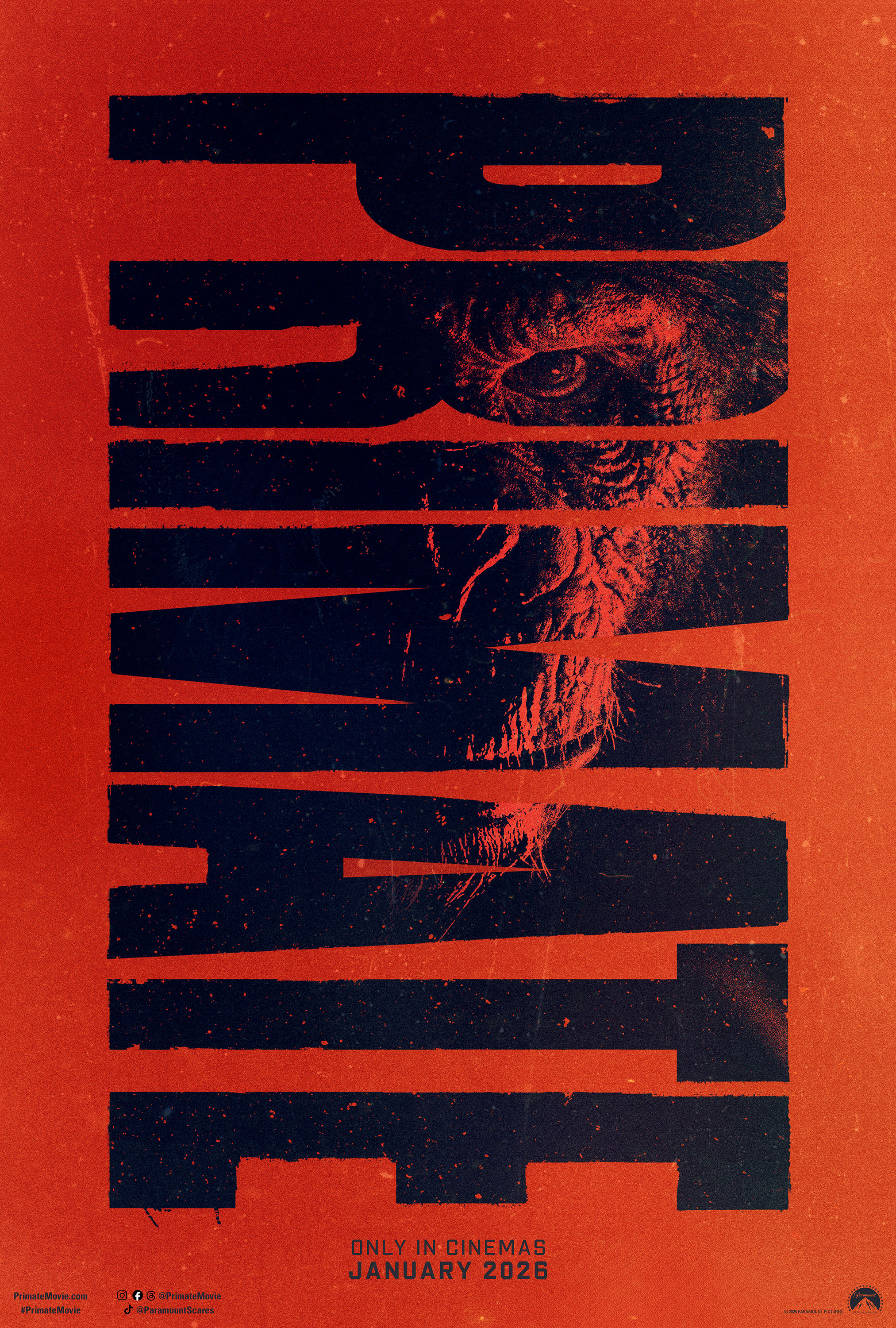 猩瘋血雨 Primate