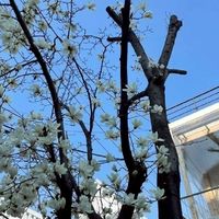 ลูกทีมทำเมล by Tan