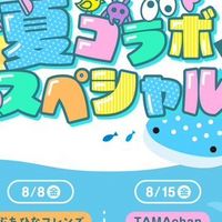 夏コラ　固定カプ