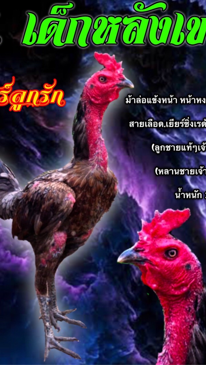 ซุ้ม เด็กหลังเขา เหล่าหัวจุกแม่สะเรียง+ส.มีสุวรรณ