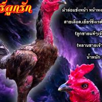 ซุ้ม เด็กหลังเขา เหล่าหัวจุกแม่สะเรียง+ส.มีสุวรรณ