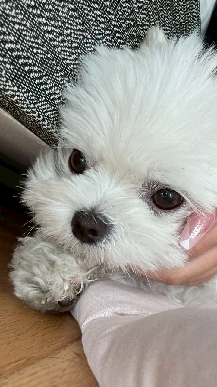 雨宮由乙花🐇🎹発言禁止