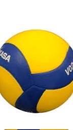 VNL volleyball