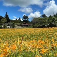 短波操作股市班