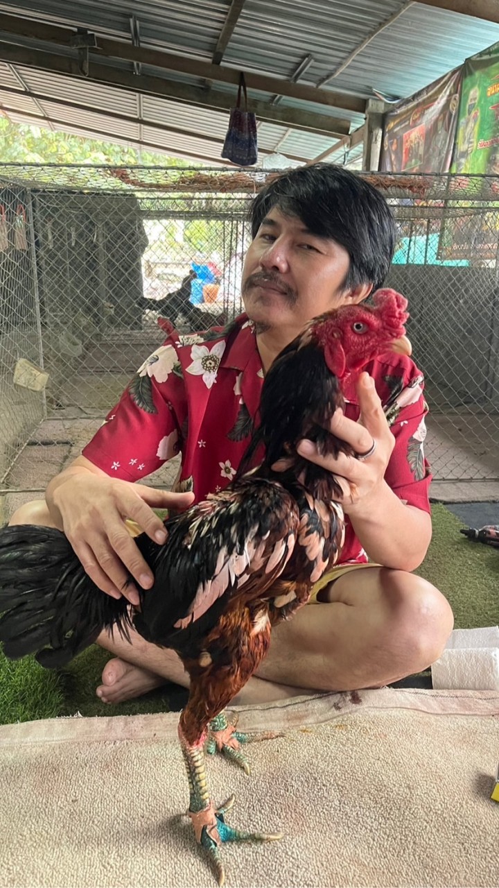 ดีวันดีคืนฟาร์ม