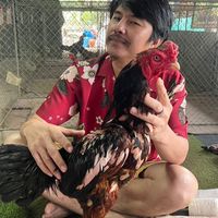 ดีวันดีคืนฟาร์ม