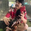 ดีวันดีคืนฟาร์ม