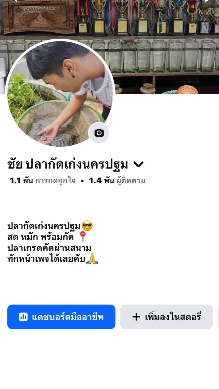 บ้านชัย ปลากัดเก่งนครปฐม