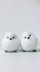 話して笑ってデトックス(⌒▽⌒)