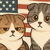 แม่มิมิละลายทรัพย์USA