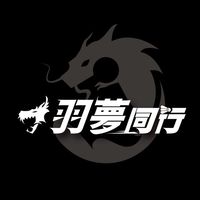 羽夢同行（臨打團🏸）