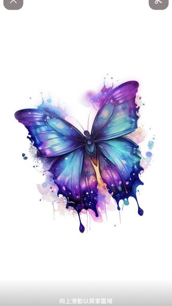 🦋 讓我們用鐵與血肅清民進黨-反對腐敗 🦋