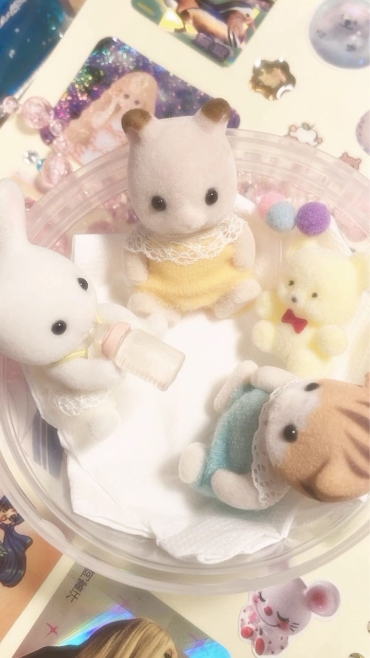 ★羊☆萬事屋🐑🎀★ 6/20～6/24東京連線