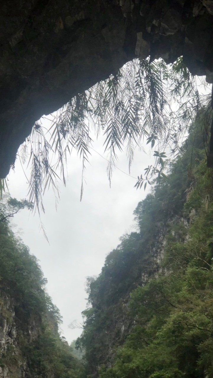 長知識添智慧交流群