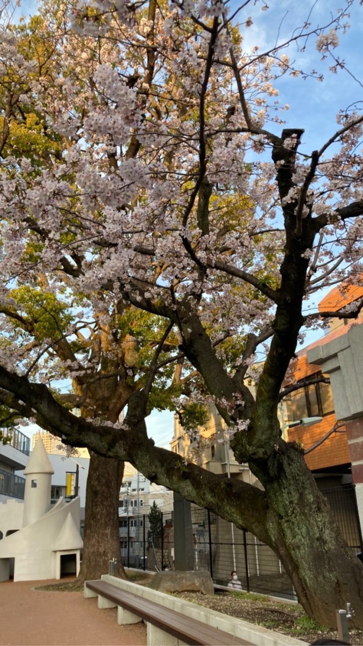 令和5年度芳水小PTA広報部