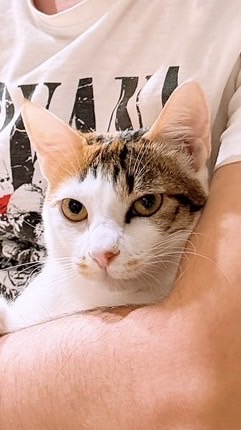 #想聊什麼隨便聊 Pici