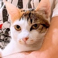 #想聊什麼隨便聊 Pici