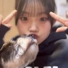 ろこまこあこ推しかもんぬ