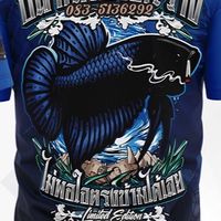 #ปลากัดบางกร่าง🐟💪🏆